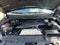 2024 Ford F-150 Raptor 4WD SuperCrew 5.5' Box