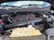 2019 Ford F-150 Raptor 4WD SuperCrew 5.5' Box