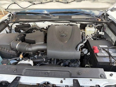 2023 Toyota Tacoma 4WD 4WD SR5 Double Cab 6' Bed V6 AT (Natl)
